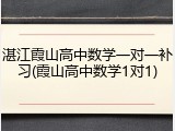 湛江霞山高中数学一对一补习(霞山高中数学1对1)