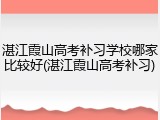 湛江霞山高考补习学校哪家比较好(湛江霞山高考补习)