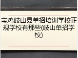 宝鸡岐山县单招培训学校正规学校有那些(岐山单招学校)
