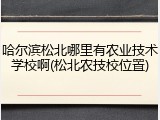 哈尔滨松北哪里有农业技术学校啊(松北农技校位置)