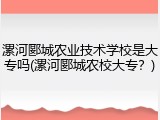 漯河郾城农业技术学校是大专吗(漯河郾城农校大专？)