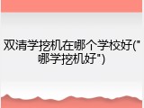 双清学挖机在哪个学校好("哪学挖机好")