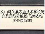 文山马关县农业技术学校简介及录取分数线(马关农校简介录取线)
