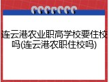 连云港农业职高学校要住校吗(连云港农职住校吗)