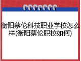 衡阳蔡伦科技职业学校怎么样(衡阳蔡伦职校如何)