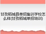 甘孜稻城县单招集训学校怎么样(甘孜稻城单招培训)