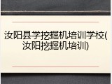 汝阳县学挖掘机培训学校(汝阳挖掘机培训)