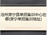 沧州肃宁县单招集训中心在哪(肃宁单招集训地址)