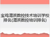 宝鸡渭滨数控技术培训学校排名(渭滨数控培训排名)