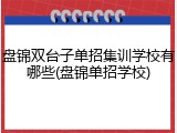 盘锦双台子单招集训学校有哪些(盘锦单招学校)