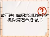 黄石铁山单招培训比较好的机构(黄石单招培训)