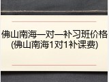 佛山南海一对一补习班价格(佛山南海1对1补课费)