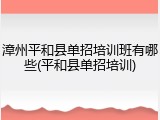 漳州平和县单招培训班有哪些(平和县单招培训)