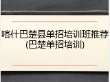 喀什巴楚县单招培训班推荐(巴楚单招培训)