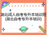 湖北成人自考专升本培训班(湖北自考专升本培训)