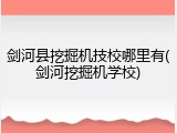 剑河县挖掘机技校哪里有(剑河挖掘机学校)