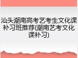 汕头潮南高考艺考生文化课补习班推荐(潮南艺考文化课补习)