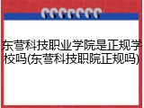东营科技职业学院是正规学校吗(东营科技职院正规吗)