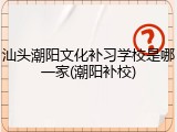 汕头潮阳文化补习学校是哪一家(潮阳补校)