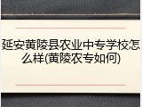 延安黄陵县农业中专学校怎么样(黄陵农专如何)