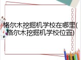 格尔木挖掘机学校在哪里(格尔木挖掘机学校位置)