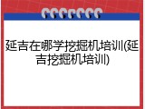 延吉在哪学挖掘机培训(延吉挖掘机培训)