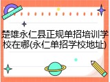 楚雄永仁县正规单招培训学校在哪(永仁单招学校地址)