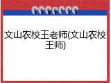 文山农校王老师(文山农校王师)