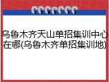 乌鲁木齐天山单招集训中心在哪(乌鲁木齐单招集训地)