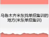 乌鲁木齐米东找单招集训的地方(米东单招集训)