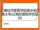 云南经济管理学院是中专还是大专(云南经管院学历层次)