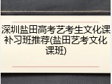 深圳盐田高考艺考生文化课补习班推荐(盐田艺考文化课班)