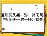 温州洞头县一对一补习班价格(洞头一对一补习价格)