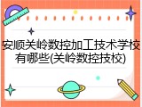 安顺关岭数控加工技术学校有哪些(关岭数控技校)