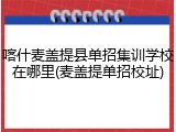 喀什麦盖提县单招集训学校在哪里(麦盖提单招校址)
