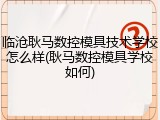 临沧耿马数控模具技术学校怎么样(耿马数控模具学校如何)