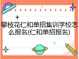 攀枝花仁和单招集训学校怎么报名(仁和单招报名)