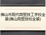 佛山市现代商贸技工学校全景(佛山商贸技校全景)