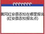黄冈红安县农校在哪里报名(红安县农校报名点)