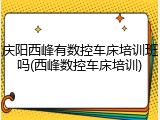 庆阳西峰有数控车床培训班吗(西峰数控车床培训)