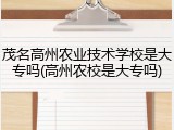 茂名高州农业技术学校是大专吗(高州农校是大专吗)