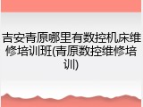 吉安青原哪里有数控机床维修培训班(青原数控维修培训)