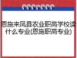 恩施来凤县农业职高学校读什么专业(恩施职高专业)