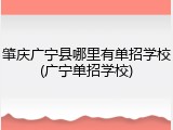 肇庆广宁县哪里有单招学校(广宁单招学校)