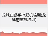 龙城在哪学挖掘机培训(龙城挖掘机培训)