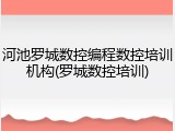 河池罗城数控编程数控培训机构(罗城数控培训)