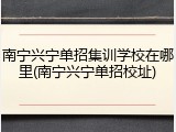 南宁兴宁单招集训学校在哪里(南宁兴宁单招校址)