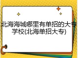 北海海城哪里有单招的大专学校(北海单招大专)