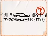广州增城高三生去哪个补习学校(增城高三补习推荐)