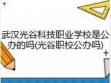 武汉光谷科技职业学校是公办的吗(光谷职校公办吗)